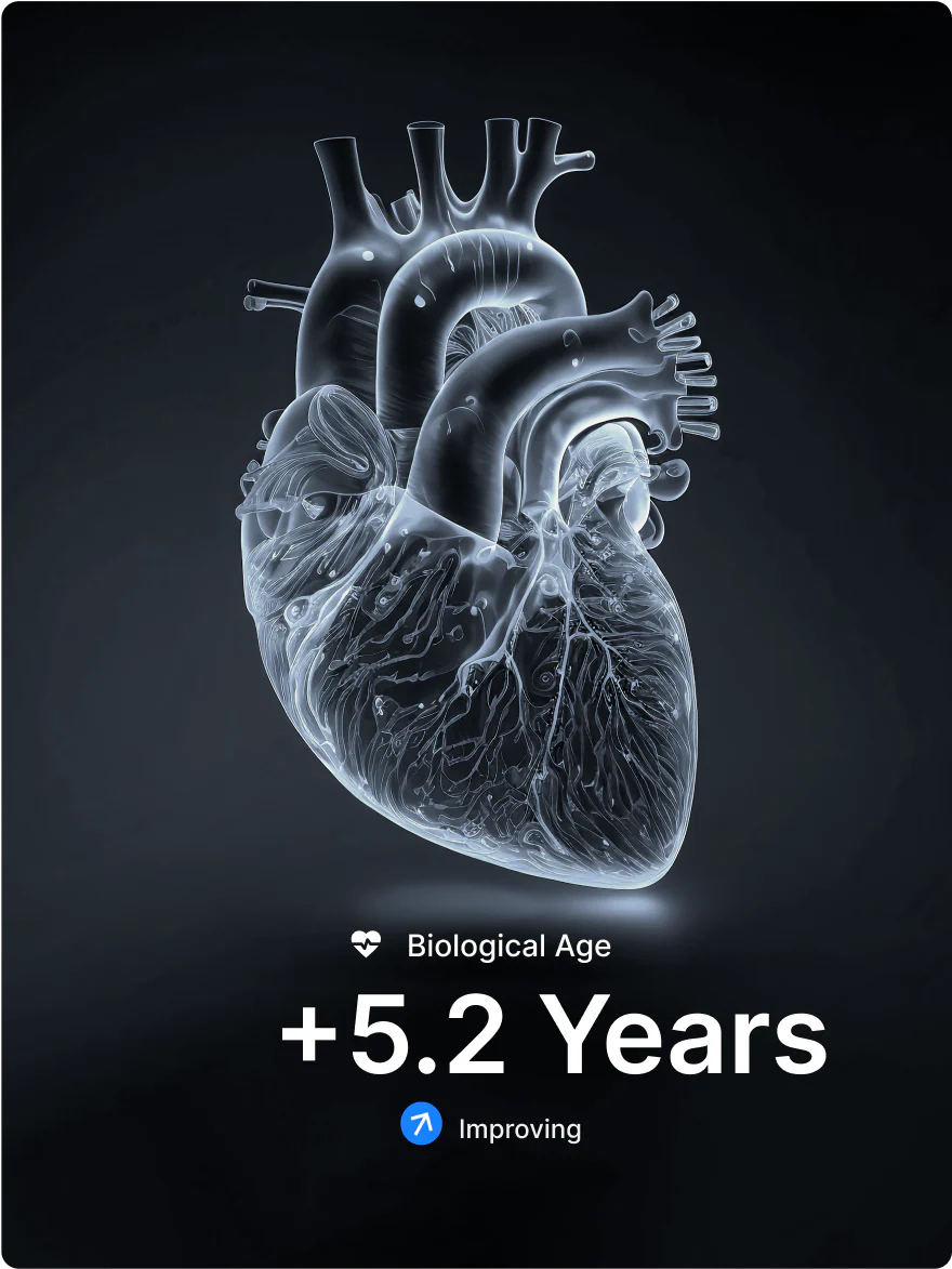 Figure_2_b2a0ce1d-d756-48f8-a069-dd564b28fa73