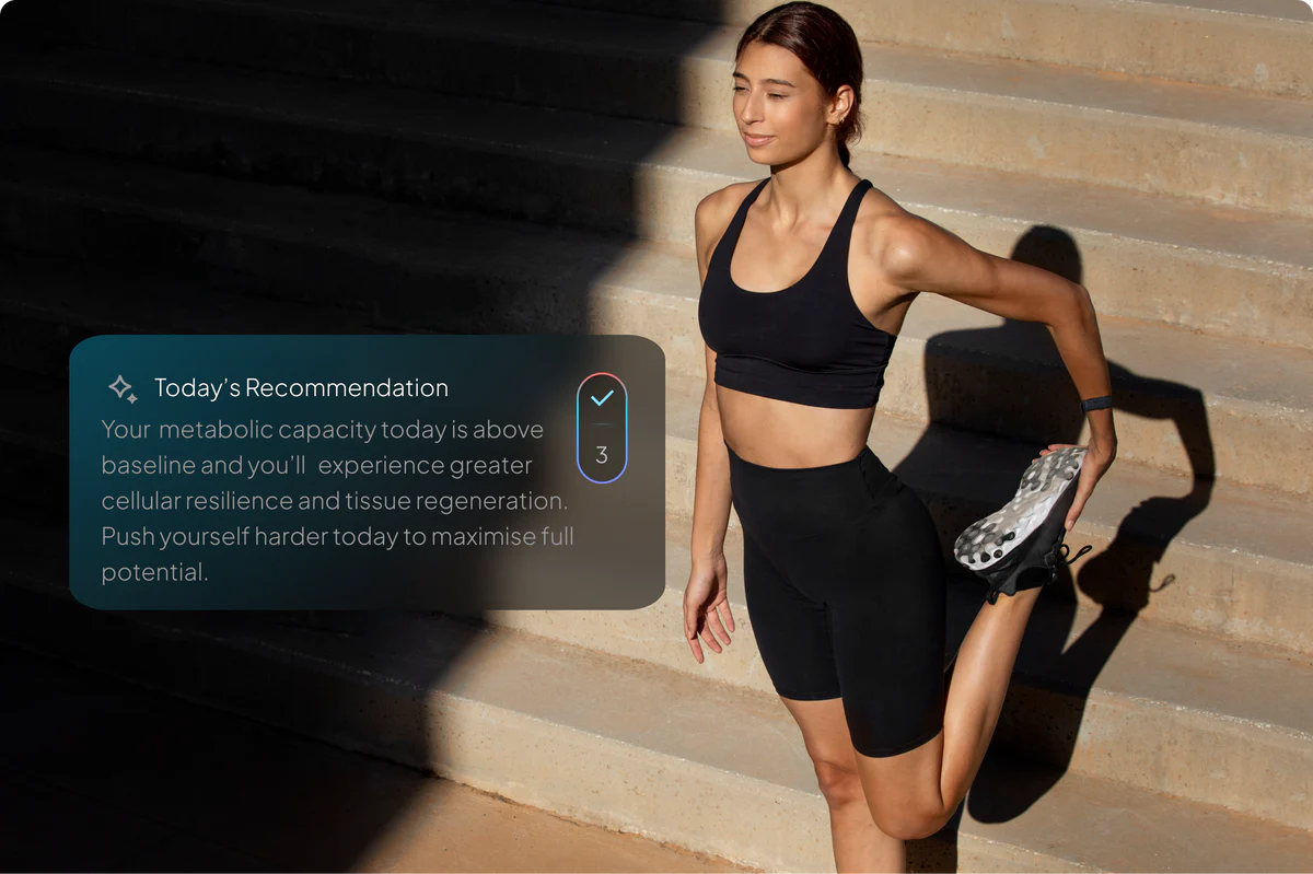 Overlay_315f9c13-b287-4a26-ac5f-68aff97cd819